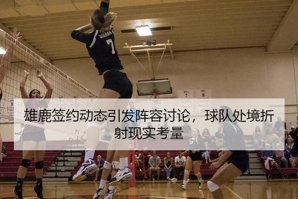 雄鹿签约动态引发阵容讨论，球队处境折射现实考量